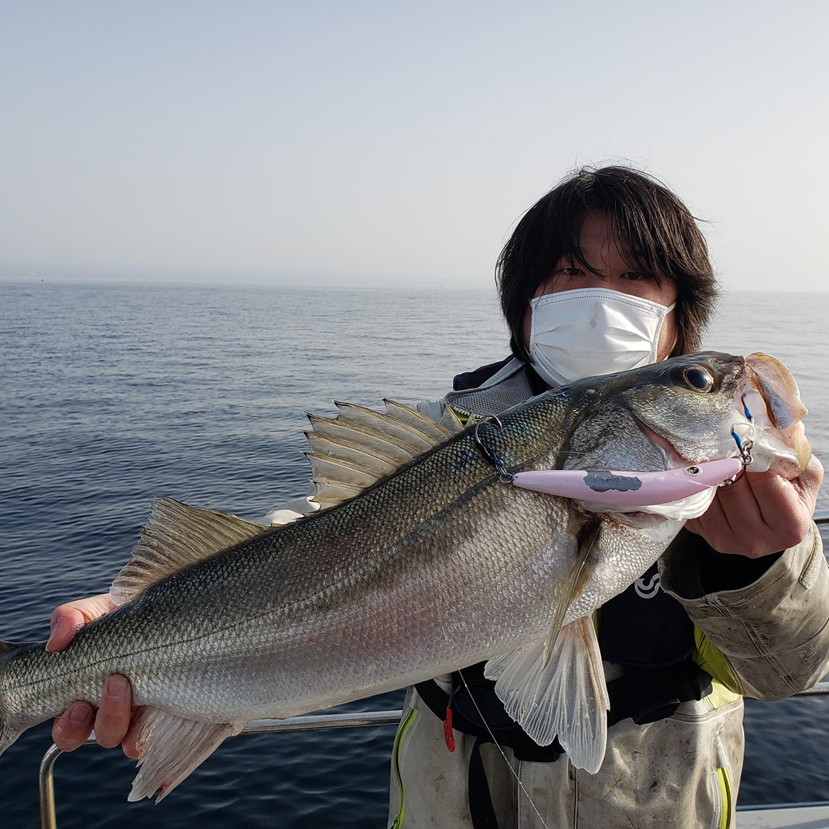 対象魚画像